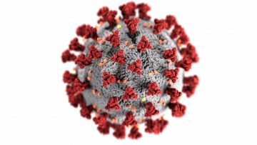 Les infractions en matière de non respect des règles coronavirus sont également portées devant le tribunal de police